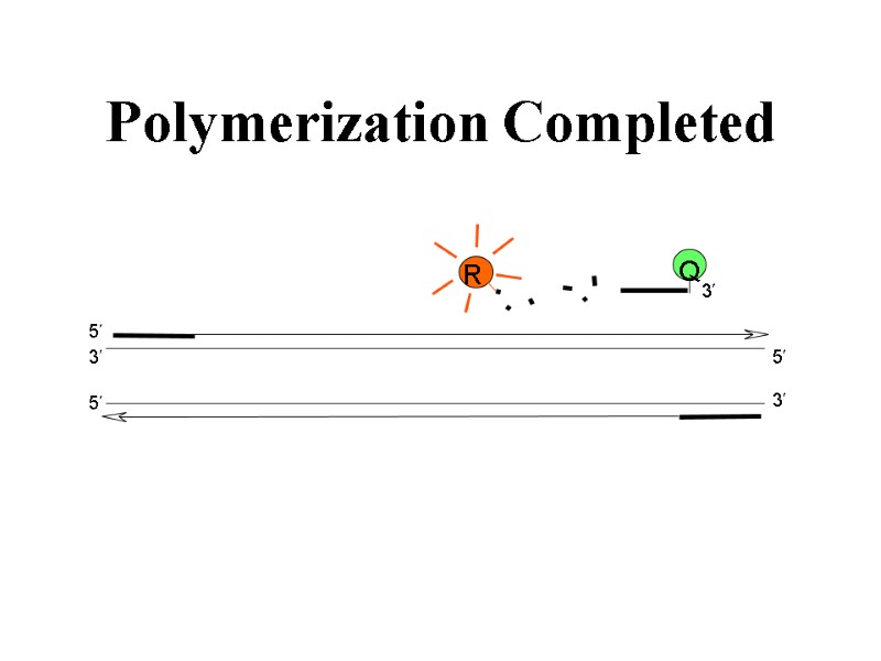 Polymerization Completed